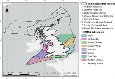 UK long-term monitoring dataset: assessing factors affecting biomarkers commonly used in environmental programmes